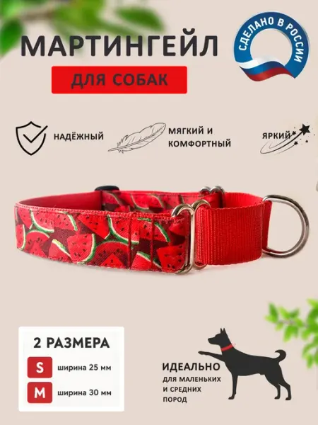 "Сочный арбуз". Мартингейл для собак. Регулируемый
