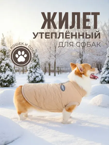 Кофта жилет для кошек и собак мелких средних пород одежда ЛКЛаб