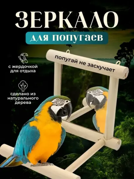 Зеркало для попугая