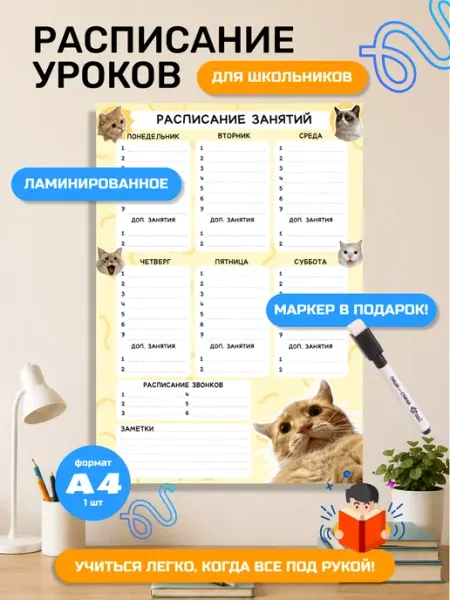 Ламинированное расписание уроков для школьников, плакат А4