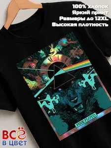 Футболка Всё в цвет Pink Floyd черная с принтом Пинк Флойд призма