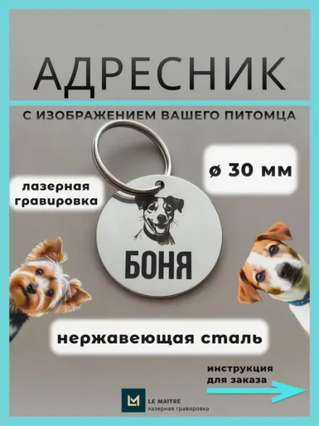 Адресник для собаки с гравировкой Le maître