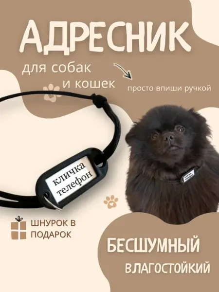 Адресник для мелких собак и кошек со шнурком 15-30 см Адресник для собак