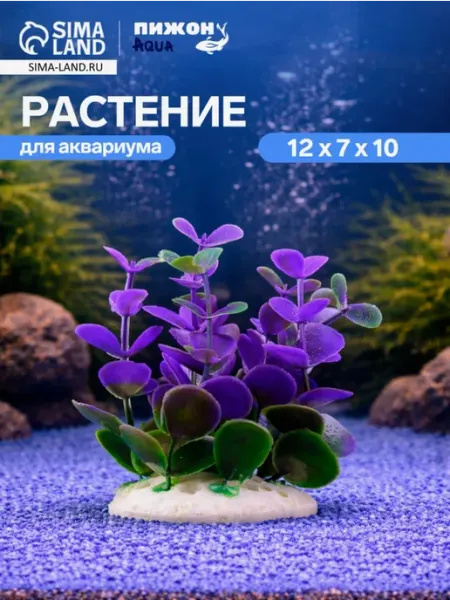 Растение для флорариума декор для аквариума