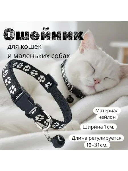 Ошейник для кошек в современном стиле