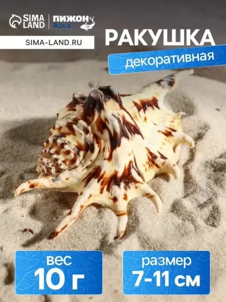Декоративная ракушка для аквариума
