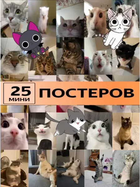 Мемные котики постеры StickerHouse Natali Pank