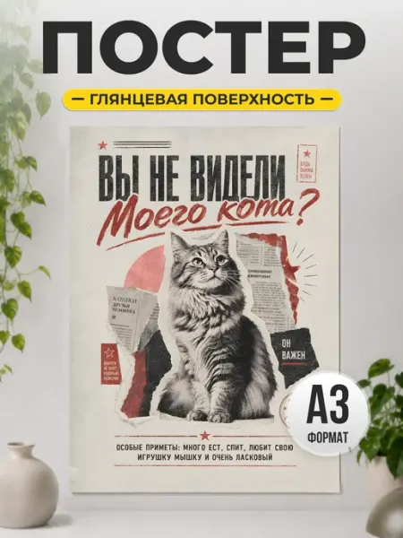 Постер смешной Вы не видели моего кота ТИТЛЪ