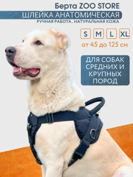 Шлейка анатомическая для собак крупных пород Берта ZOO STORE