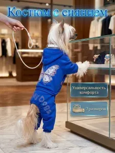 Костюм для собак мелких пород ForMyDogs TDSS0117, размер 10
