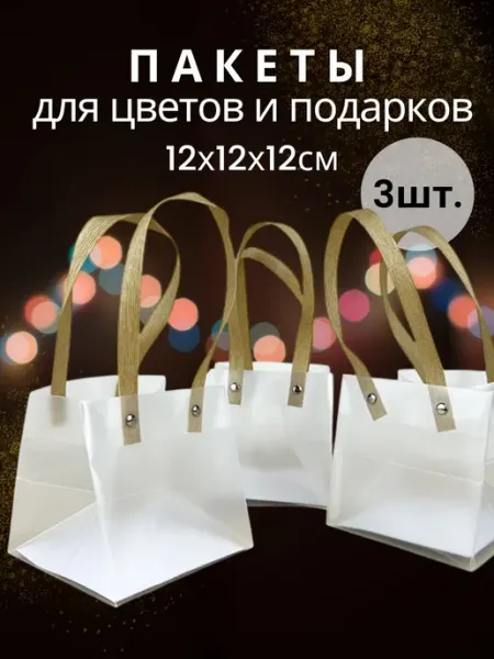 Пакет пластиковый с ручками 12х12х12 набор 3 штуки Giftpack
