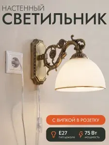 Бра на стену с проводом и вилкой Адриана CL405413SET Citilux