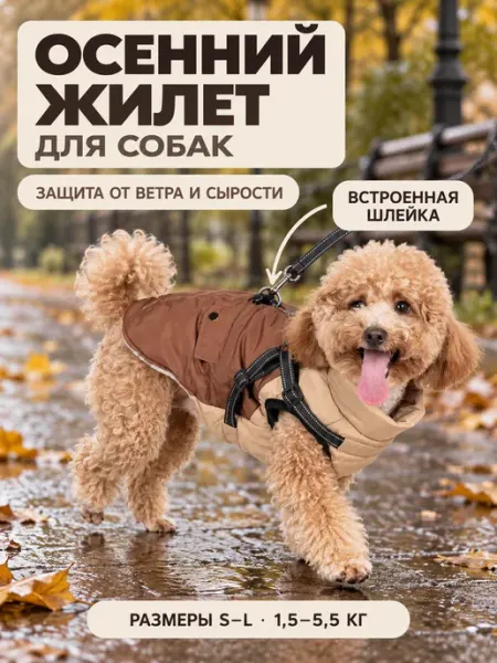 Комбинезон для собак мелких пород утеплённый, с шлейкой KINGDOM pets
