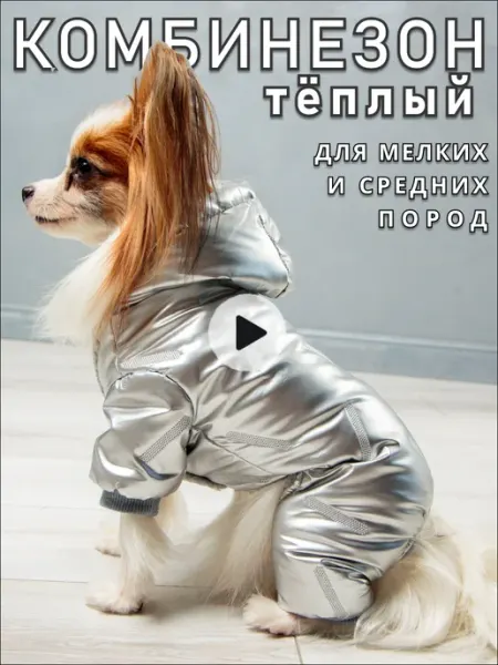 SHAGGY FRIEND Комбинезон для собак мелких пород зимний