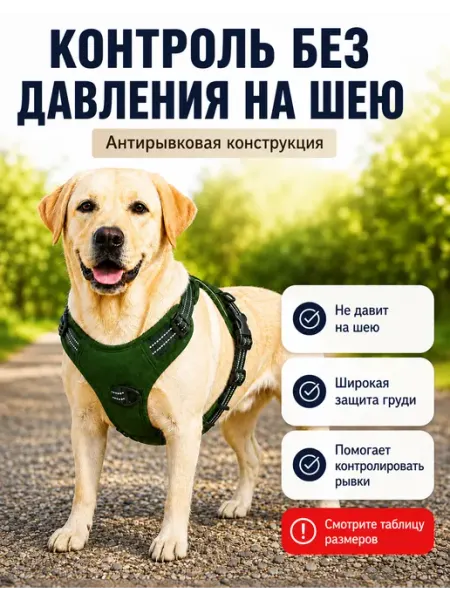 Шлейка тактическая антирывковая для средних и крупных собак