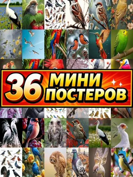 Бумажный дом Fun Минипостеры 36 шт Птицы