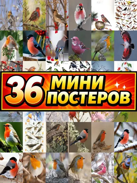 Бумажный дом Fun Минипостеры 36 шт птицы россии малиновка