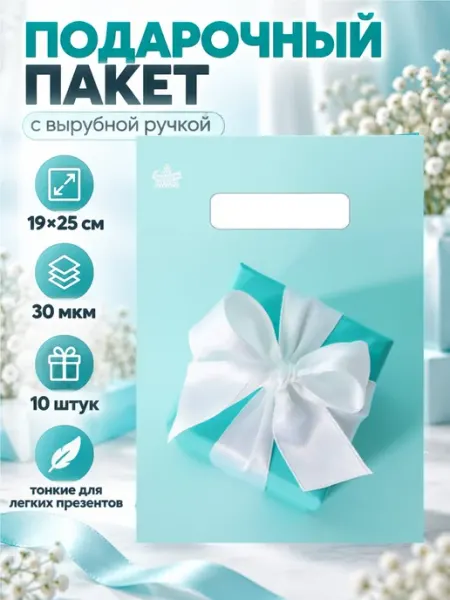 Подарочные пакеты маленькие 19х25 см, 10 штук ТикоПластик