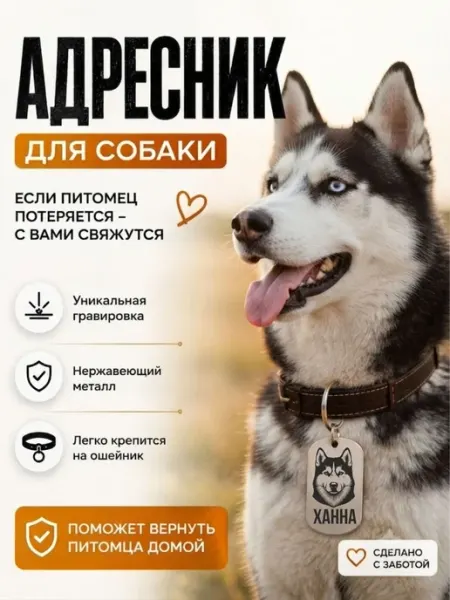 Адресник для собак породы хаски с гравировкой Ханна Магазинище