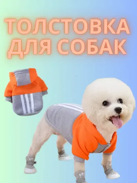 Толстовка для собак и кошек АКЛЕТ