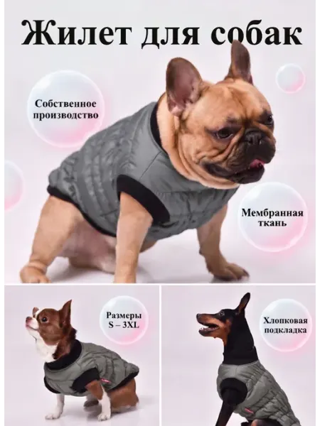 Жилет для собак утепленный мембранный для мопса и бульдога Трезор