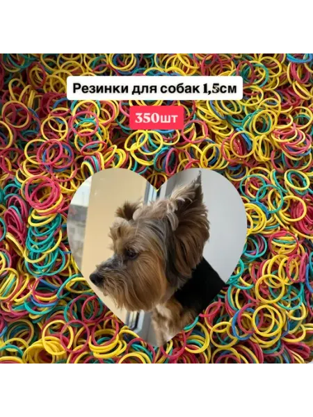 Резинки для собак Джеми