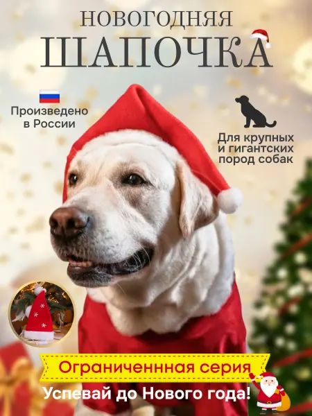 G-ELSE Новогодняя шапка для собак Дед Мороз