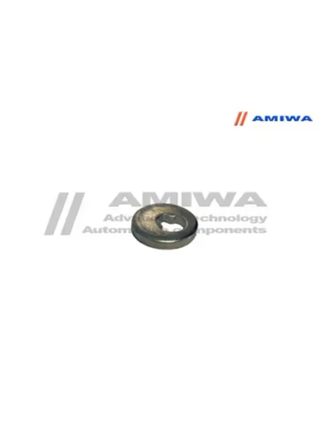 ЭКСЦЕНТРИК AMIWA