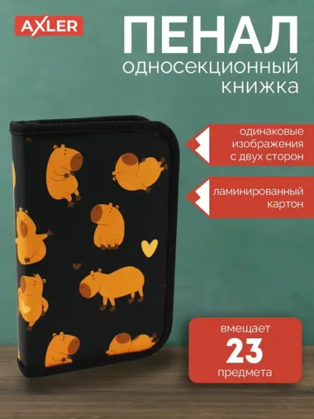 Пенал школьный для девочки книжка на молнии AXLER