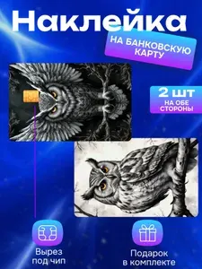 Наклейка на банковскую карту Сова