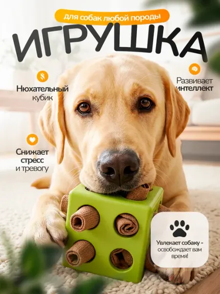 Игрушка для собак интерактивная нюхательный кубик
