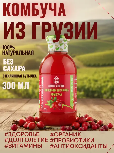GEORGIA'S NATURAL Комбуча без сахара шиповник и клюква 300мл Грузия