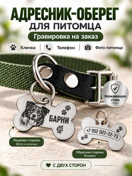 Адресник для собаки и кошки с гравировкой на заказ IAMIP