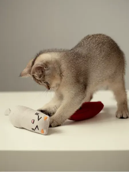 Игрушки для кошек PETBERRY
