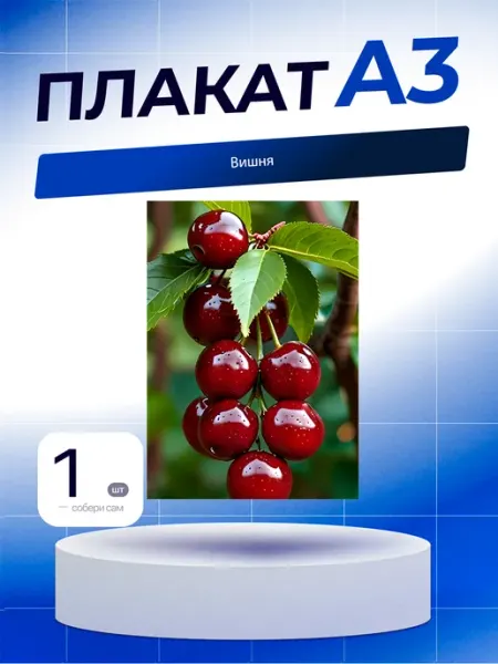 Постер Вишня. А3 (29,7х42см)
