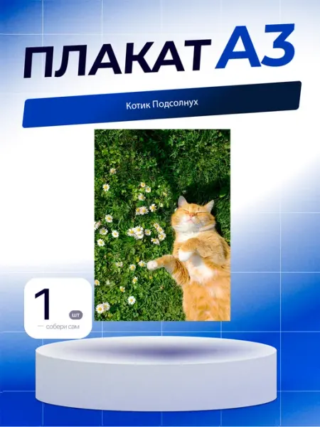 Постер Котик Подсолнух. А3 (29,7х42см)