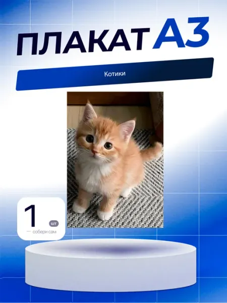 Постер Котики. А3 (29,7х42см)
