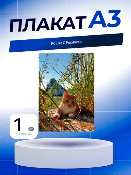 Постер Кошка С Рыбками. А3 (29,7х42см)