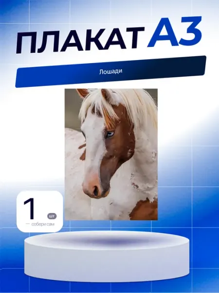Постер Лошади. А3 (29,7х42см)