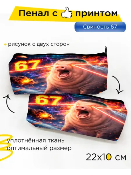Пенал школьный Свиность 67 (Six Seven), 1 шт
