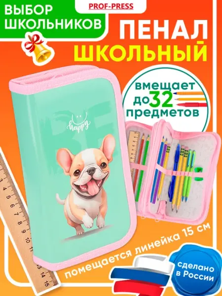 Пенал школьный для девочки Проф-Пресс