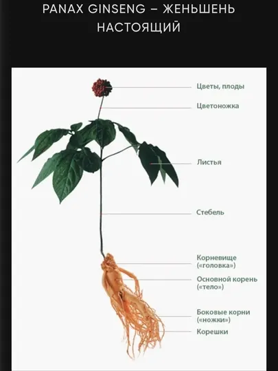 Пластырь обезболивающий Корейский от боли в суставах и спине GOLD RED GINSENG, набор 25 шт