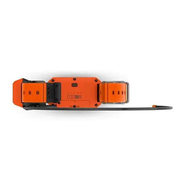 Ошейник-трекер Garmin Alpha T20 EU Nordic (010-02447-01)