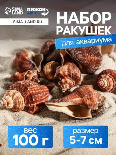 Ракушки для аквариумов и террариумов, декор 5-7 см Пижон Аква