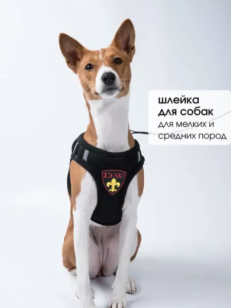 Шлейка для собак DW