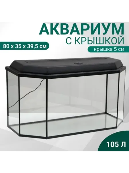 Аквариум Пижон Аква