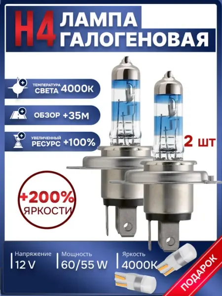 Автомобильные лампы H4, 4000K, 2 шт Rich car