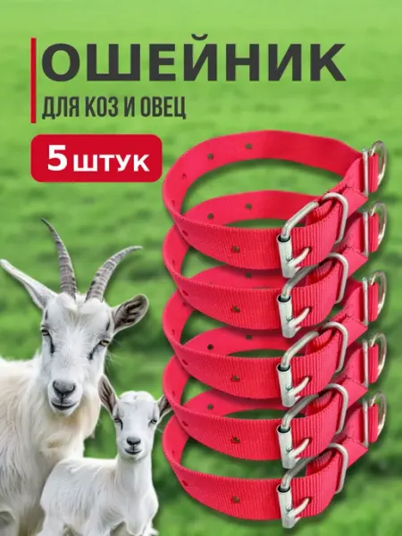Ошейник для коз, козлят, овец, 5 штук Астикон