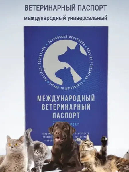GNA Ветеринарный паспорт международный