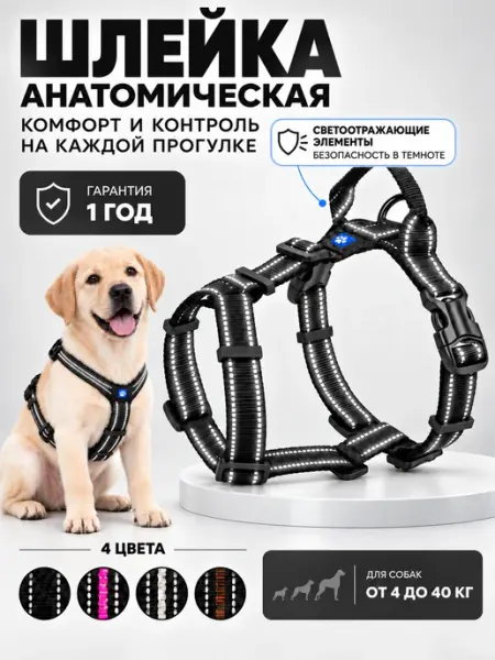 Шлейка для собак анатомическая светоотражающая